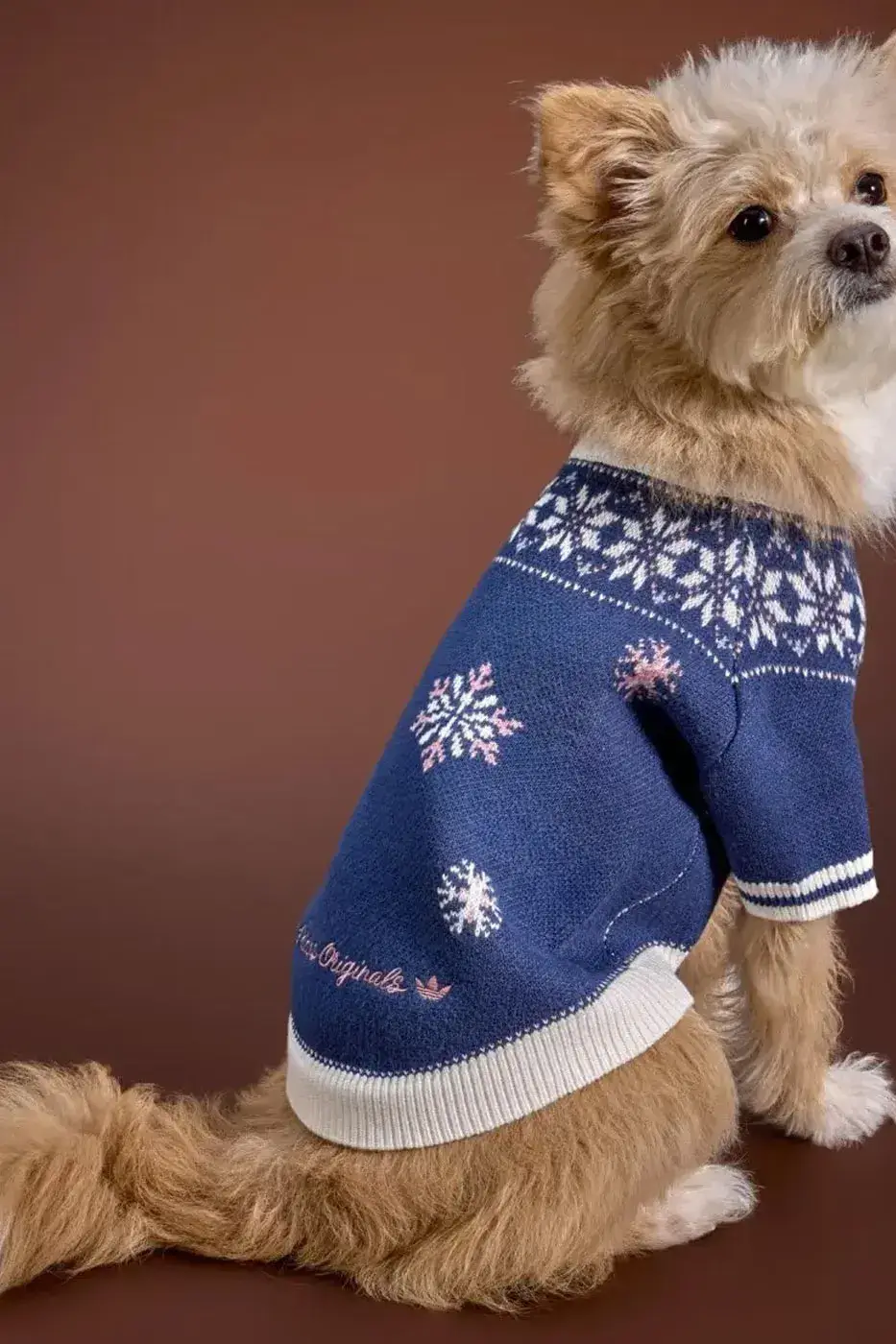 ADIDAS ORIGINALS RELEASES WINTER 2026 PET LINE image of the Adidas Originals Winter 2026 pet clothing collection, detailing product specs, materials, and retail pricing in US dollars and euros. (image 9 of 11)