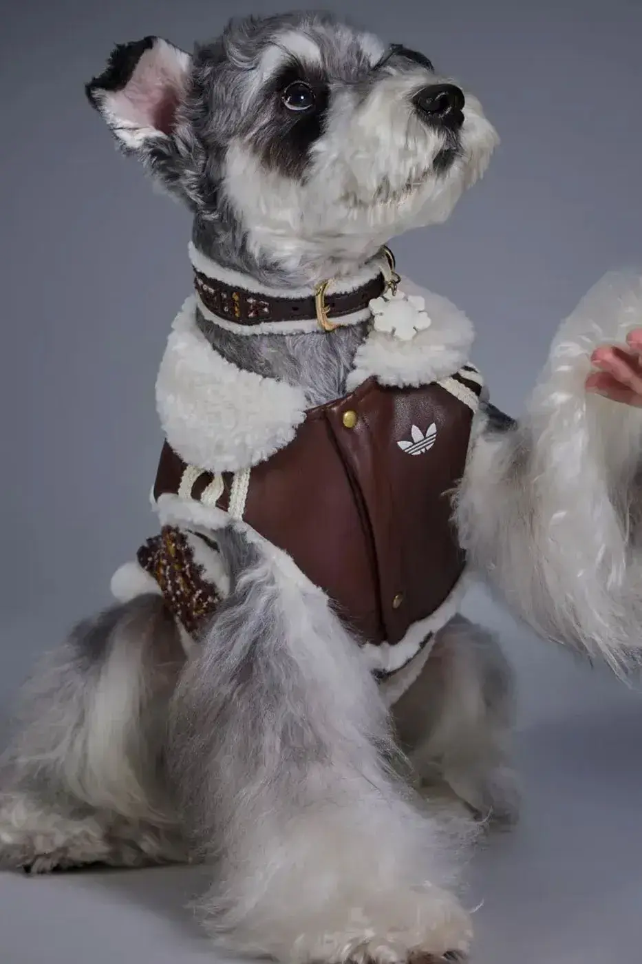 ADIDAS ORIGINALS RELEASES WINTER 2026 PET LINE image of the Adidas Originals Winter 2026 pet clothing collection, detailing product specs, materials, and retail pricing in US dollars and euros. (image 3 of 11)