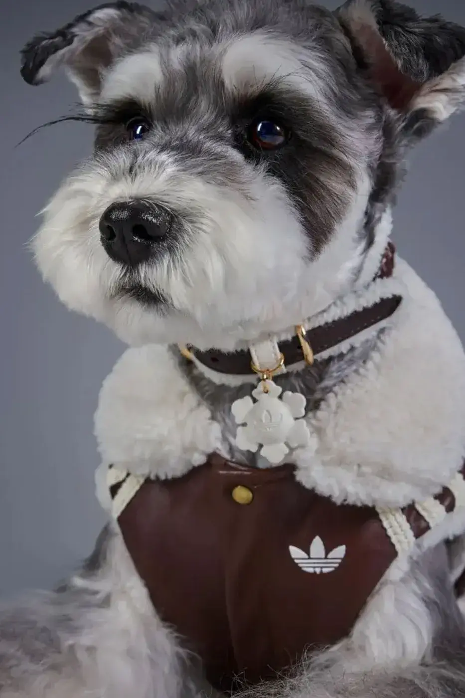 ADIDAS ORIGINALS RELEASES WINTER 2026 PET LINE image of the Adidas Originals Winter 2026 pet clothing collection, detailing product specs, materials, and retail pricing in US dollars and euros. (image 7 of 11)