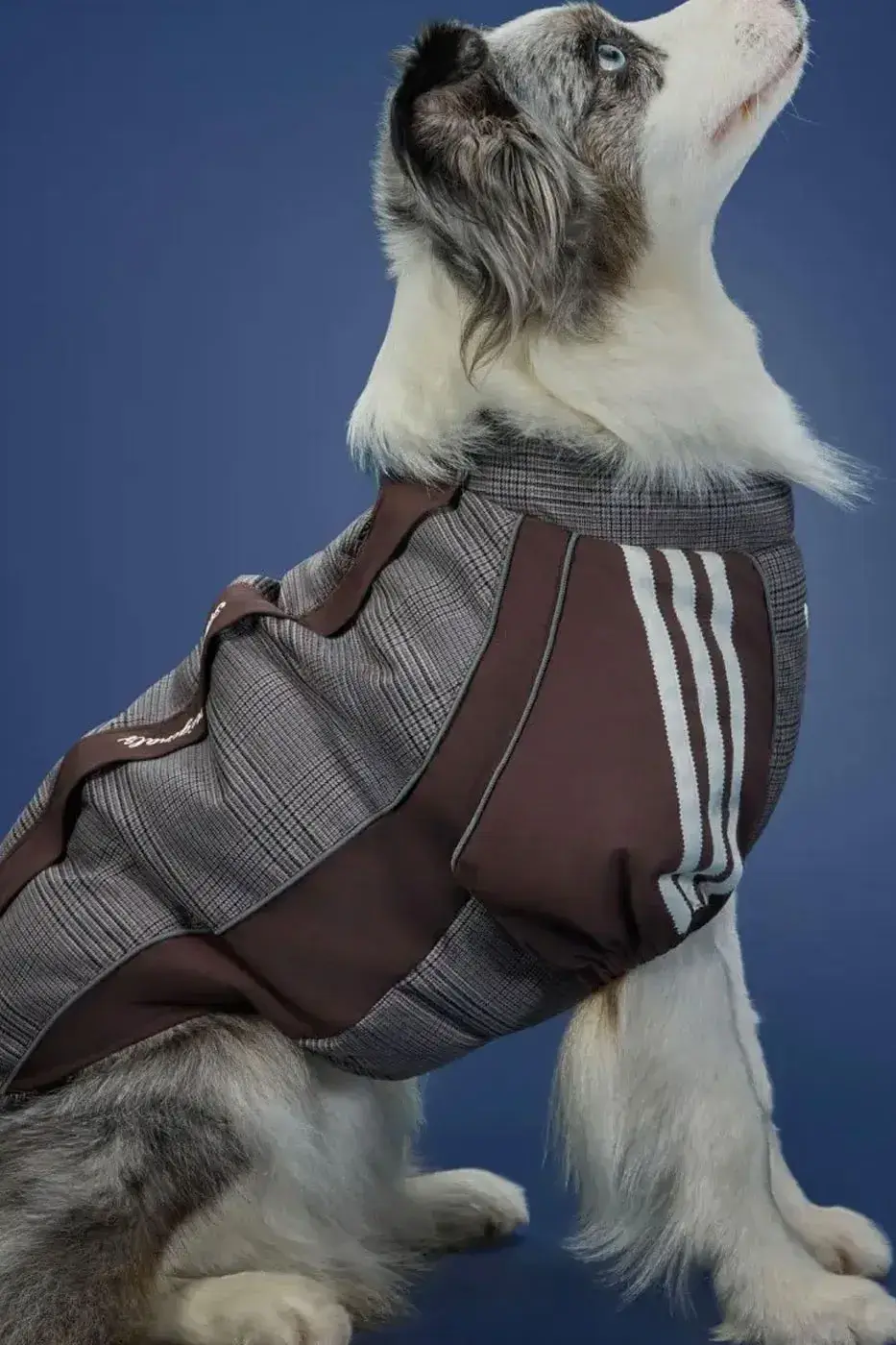 ADIDAS ORIGINALS RELEASES WINTER 2026 PET LINE image of the Adidas Originals Winter 2026 pet clothing collection, detailing product specs, materials, and retail pricing in US dollars and euros. (image 8 of 11)