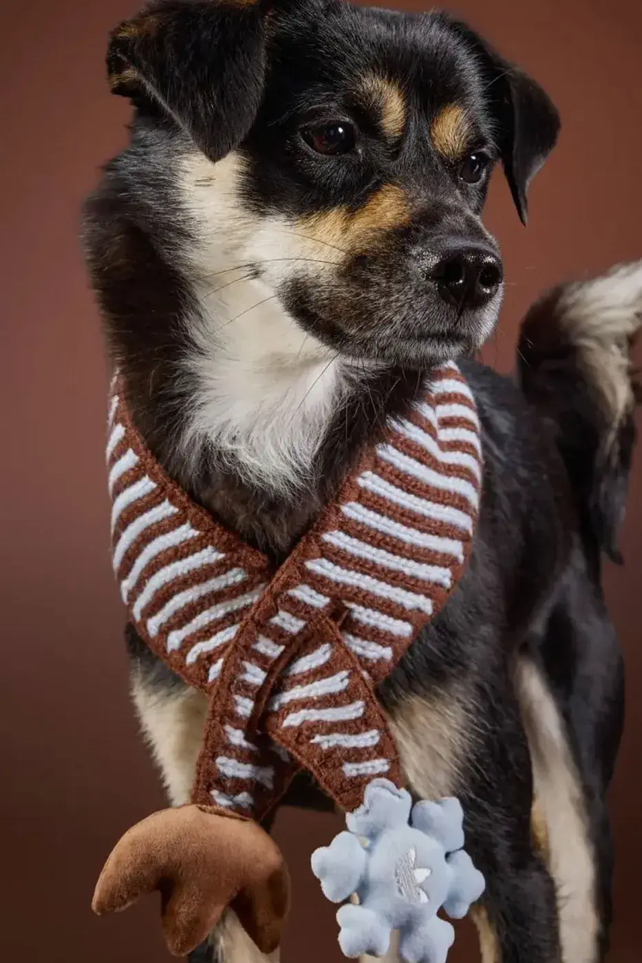 ADIDAS ORIGINALS RELEASES WINTER 2026 PET LINE image of the Adidas Originals Winter 2026 pet clothing collection, detailing product specs, materials, and retail pricing in US dollars and euros. (image 10 of 11)