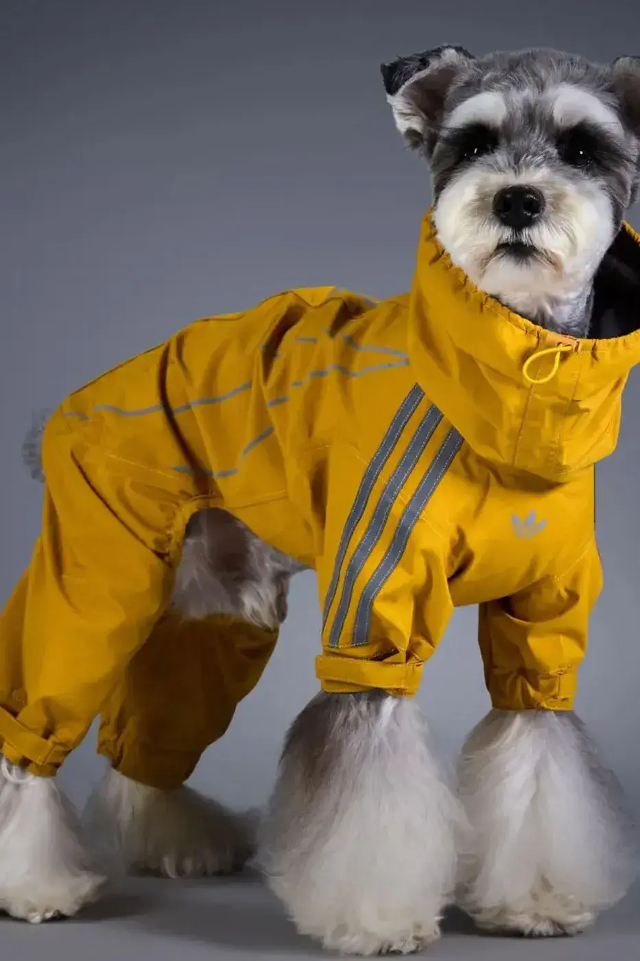 ADIDAS ORIGINALS RELEASES WINTER 2026 PET LINE image of the Adidas Originals Winter 2026 pet clothing collection, detailing product specs, materials, and retail pricing in US dollars and euros. (image 11 of 11)