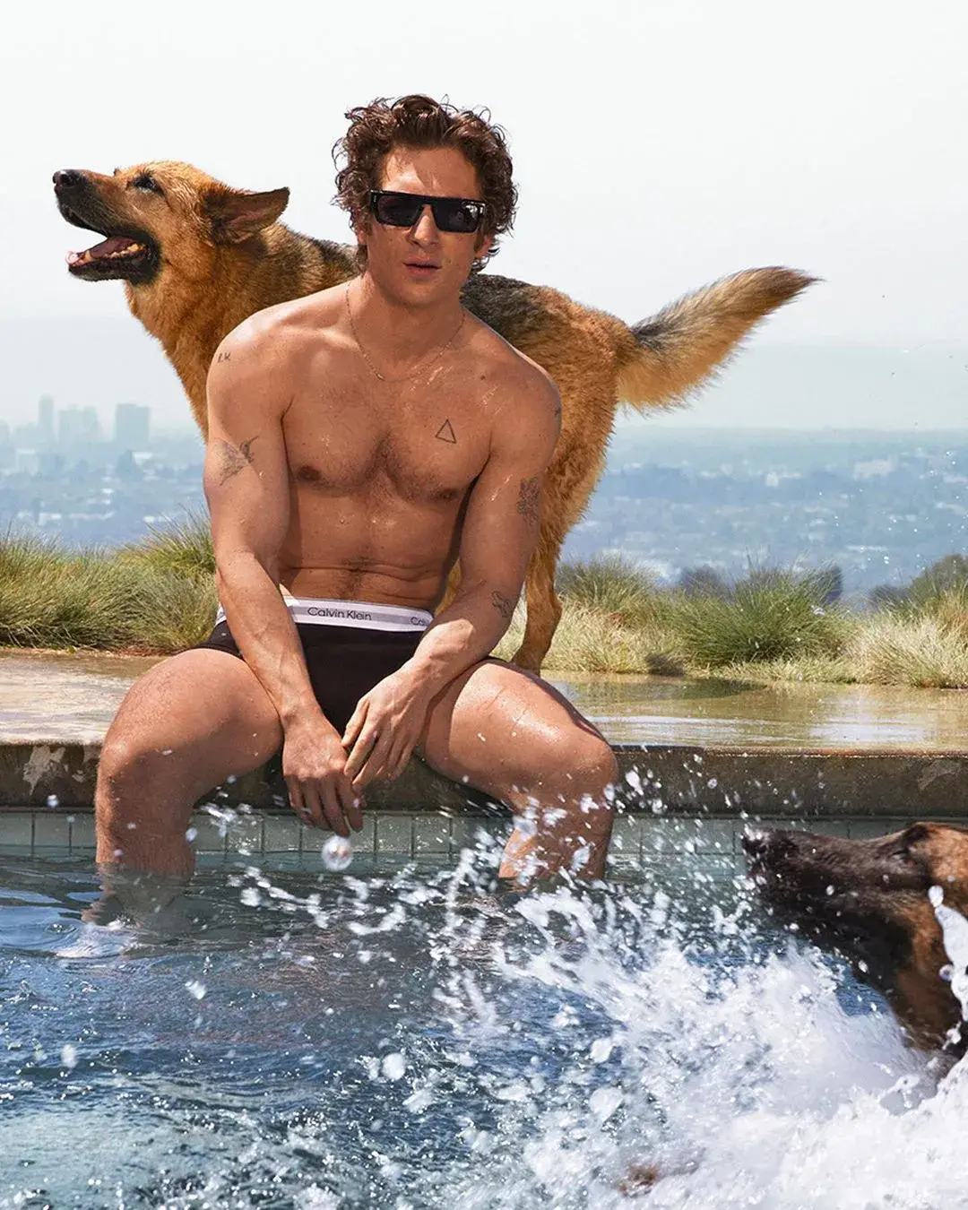 Jeremy Allen White in lastes Calvin Klein's Campaign in swimming pool with dogs