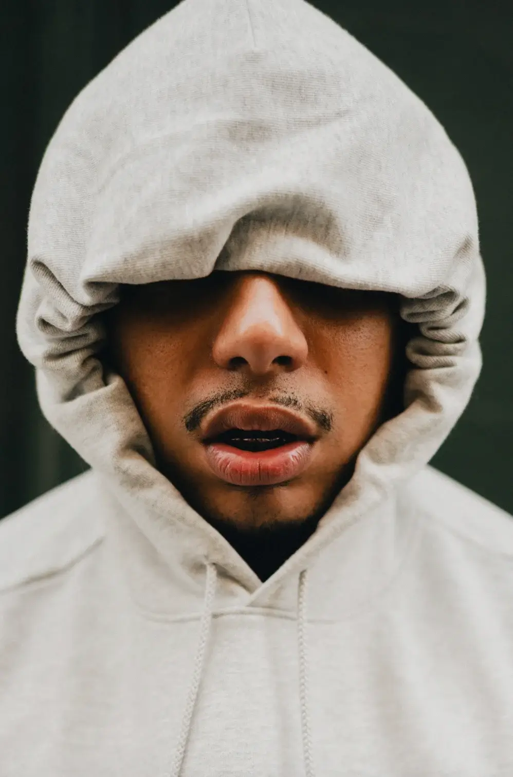 Hoodie: Dickies Hoodie: Dickies