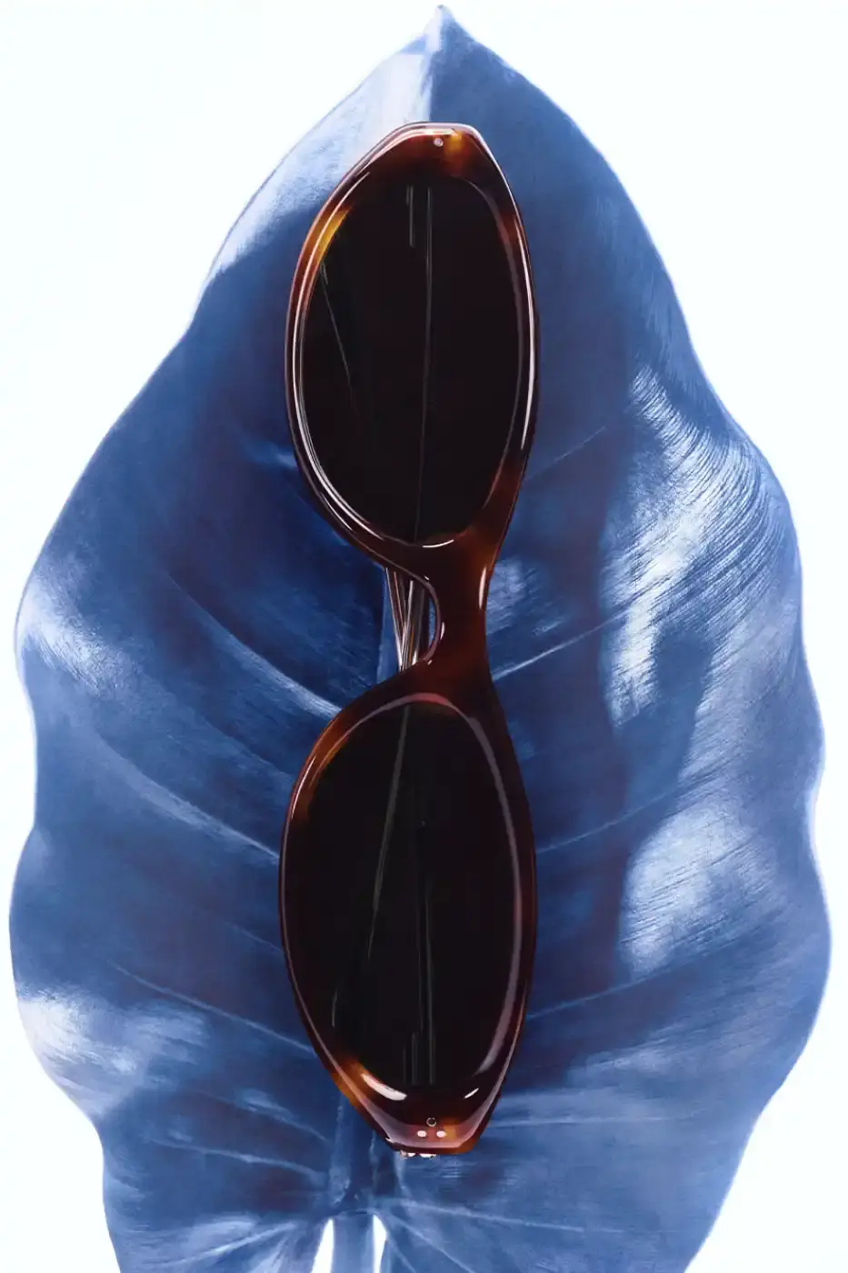 GENTLE MONSTER AND FKA TWIGS DEBUT BOUQUET EYEWEAR Gentle Monster launches 2026 Bouquet eyewear collection featuring botanical-inspired frames and campaign film directed by FKA twigs and Jordan Hemingway. (image 6 of 6)