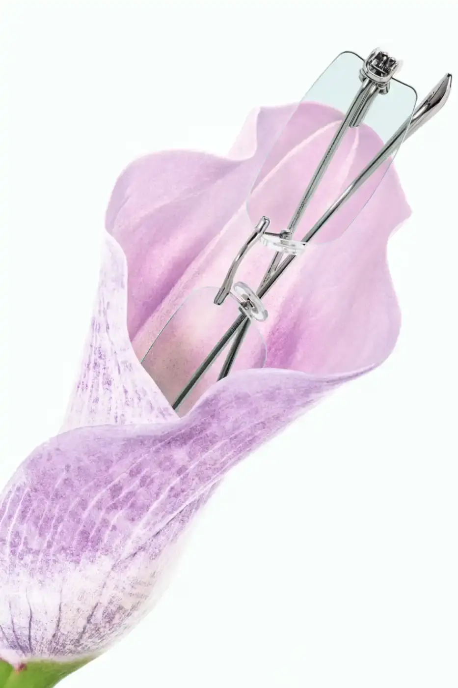 GENTLE MONSTER AND FKA TWIGS DEBUT BOUQUET EYEWEAR Gentle Monster launches 2026 Bouquet eyewear collection featuring botanical-inspired frames and campaign film directed by FKA twigs and Jordan Hemingway. (image 5 of 6)
