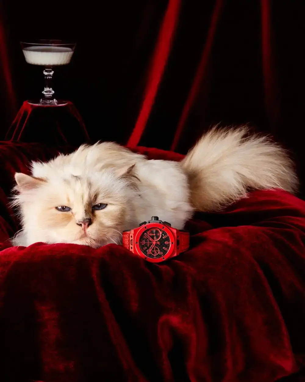 image of Hublot's 20th anniversary campaign for their Big Bang watch collection, featuring Karl Lagerfeld's cat Choupette as the unexpected star. Photographer Carlijn Jacobs captured both elegant editorial images and casual meme-inspired content centered on the Big Bang 20th Anniversary Red Magic timepiece. The campaign includes quotes from Hublot CEO Julien Tornare about breaking conventions in watchmaking, and uses the tagline "Own It" to reflect the brand's bold approach. The article explains how this campaign represents a departure from traditional luxury advertising by embracing playfulness and unpredictability on social media.