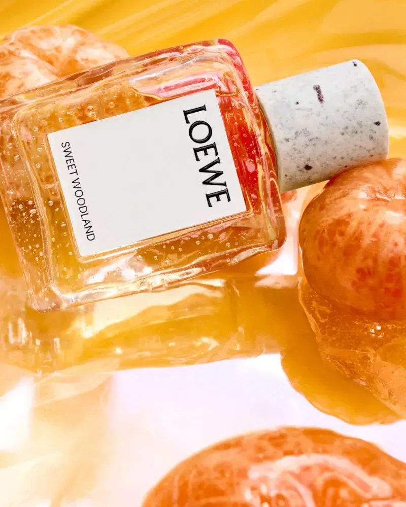 LOEWE PERFUMES EXPANDS CRAFTED COLLECTION Image series showing still-life perfume bottles with granite caps alongside raw botanical ingredients, pigment powders, and fresh citrus slices. (image 9 of 10)