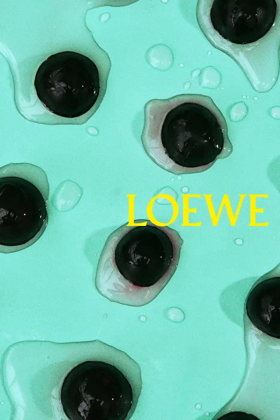 LOEWE SPRING SUMMER 2026 CAMPAIGN GUIDE image detailing the Loewe Spring Summer 2026 fashion campaign. The text describes clothing designs, campaign actors, and release schedules. (image 20 of 25)