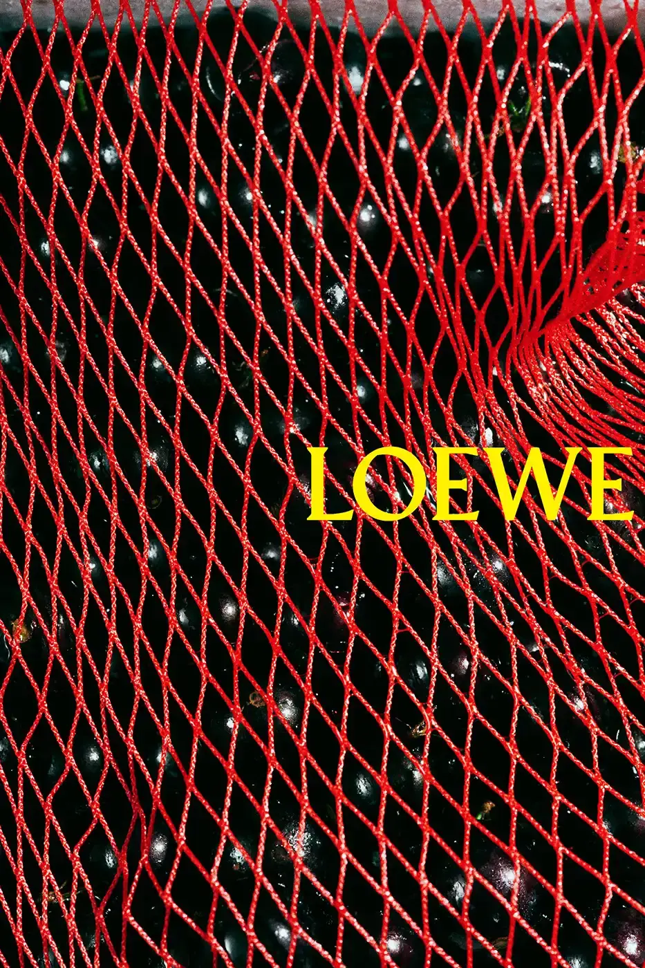 LOEWE SPRING SUMMER 2026 CAMPAIGN GUIDE image detailing the Loewe Spring Summer 2026 fashion campaign. The text describes clothing designs, campaign actors, and release schedules. (image 14 of 25)
