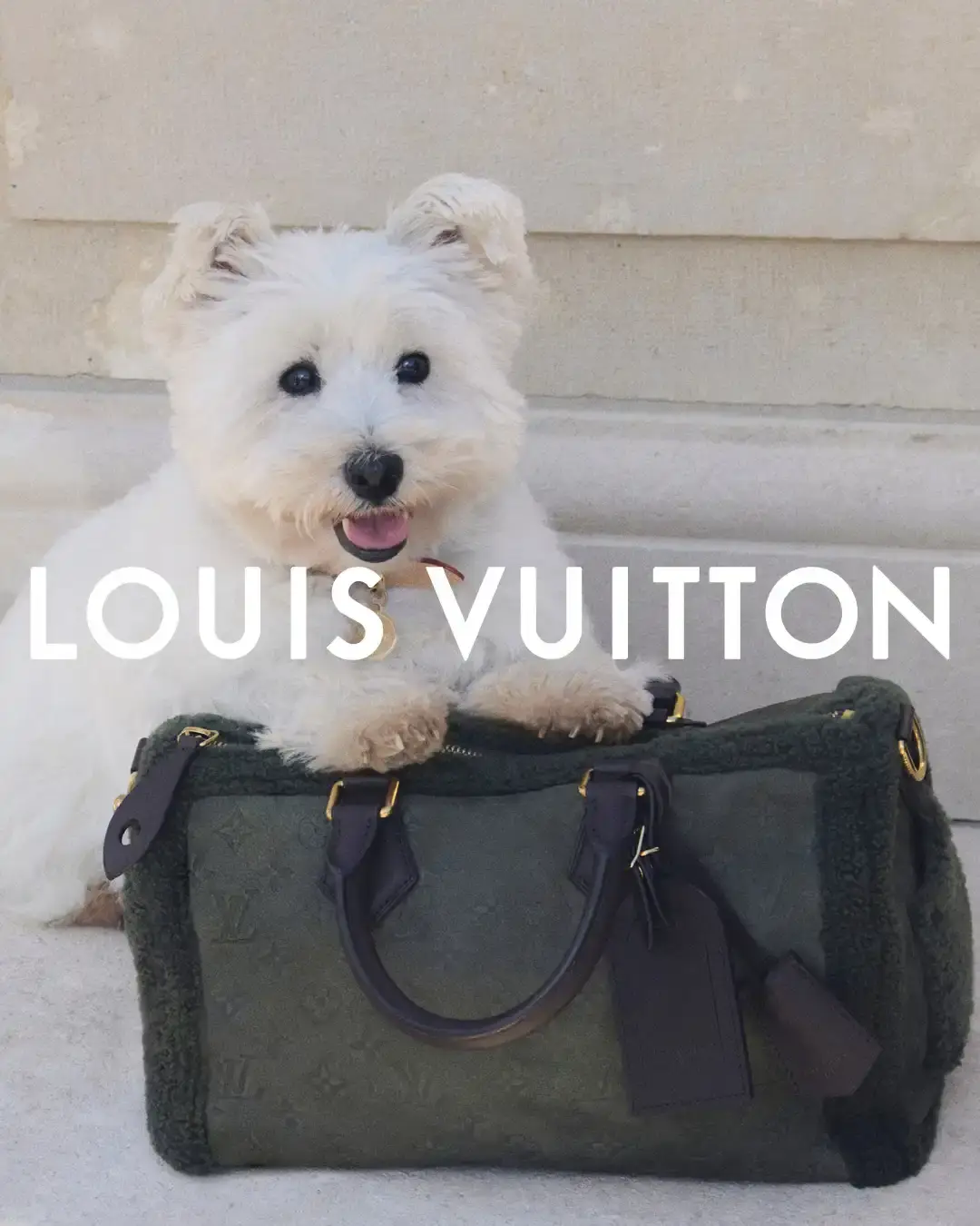 LOUIS VUITTON MEN'S PRE-COLLECTION 2026 Louis Vuitton Men's Pre-Collection Spring/Summer 2026 campaign photographed in the English countryside, showcasing tailored pieces, streetwear elements, and a pet accessories capsule. (image 2 of 3)