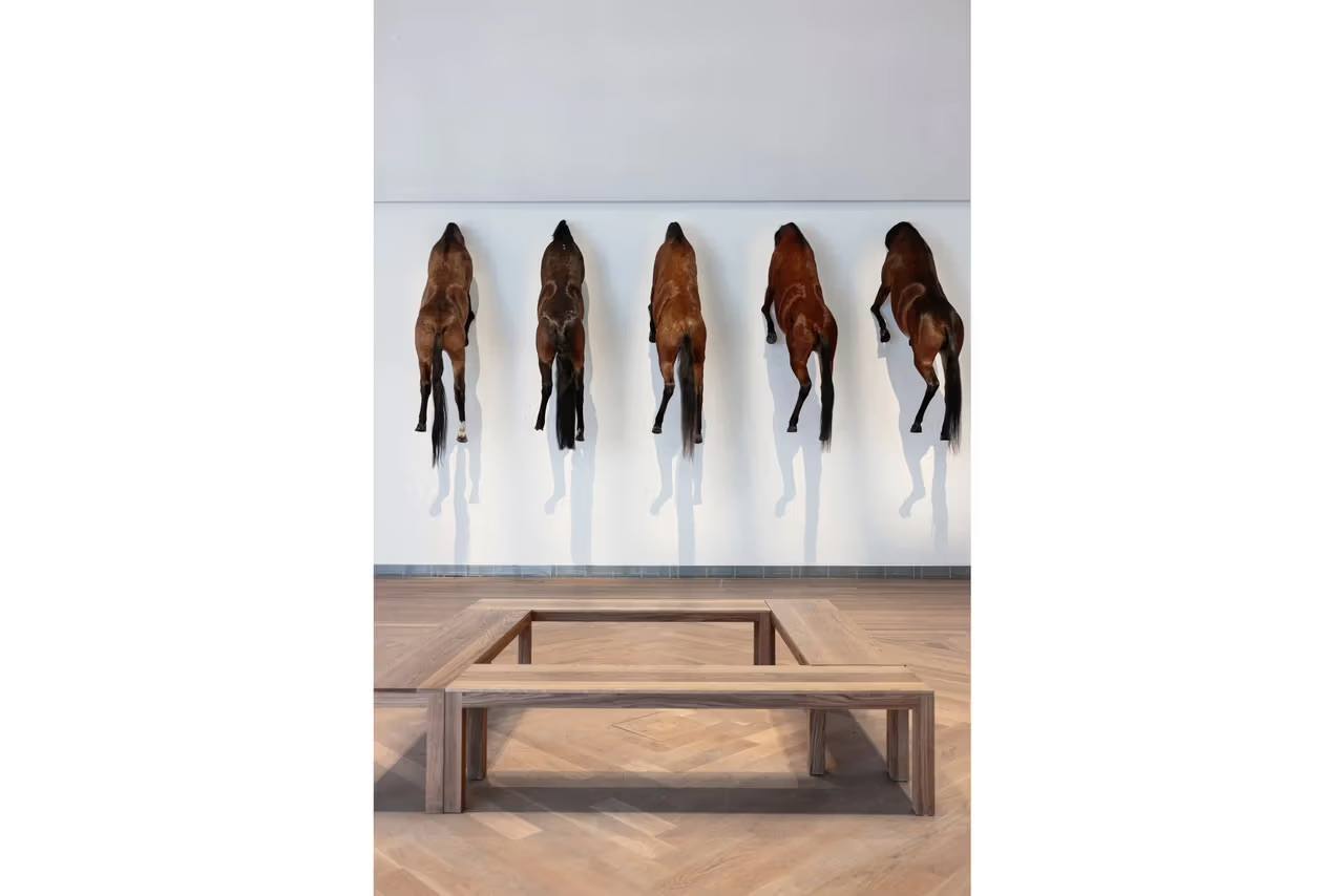 My Matson/Moderna Museet, Artwork by ©maurizion Cattelan 2024 (image 6 of 6)