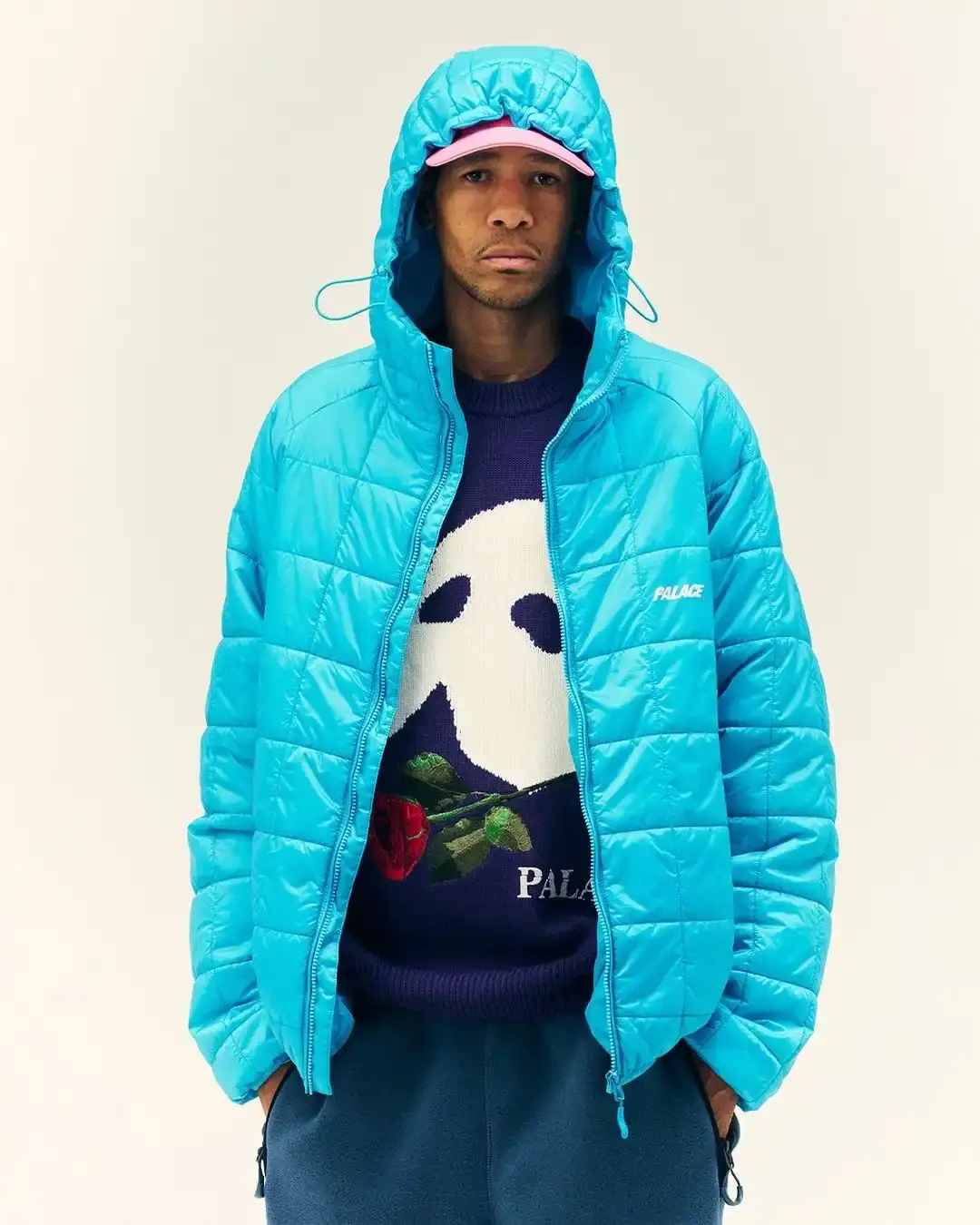 Palace Skateboards (image 13 of 13)