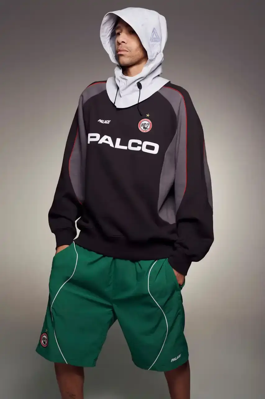 Palace Skateboards/Theo Sion Palace Spring 2025 lookbook showcasing a diverse collection of streetwear. Various models wear pieces including a tiger-embroidered varsity jacket, GORE-TEX outerwear, camouflage patterns, and racing-inspired jerseys. The collection features a mix of athletic and casual styles in multiple colorways, with detailed shots of snake graphics and workwear pieces (image 3 of 20)