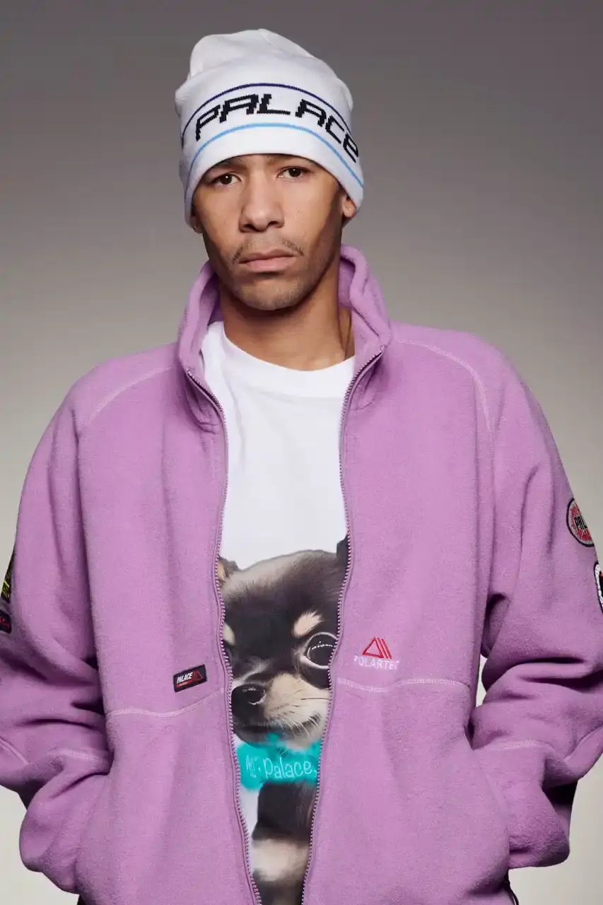 Palace Skateboards/Theo Sion Palace Spring 2025 lookbook showcasing a diverse collection of streetwear. Various models wear pieces including a tiger-embroidered varsity jacket, GORE-TEX outerwear, camouflage patterns, and racing-inspired jerseys. The collection features a mix of athletic and casual styles in multiple colorways, with detailed shots of snake graphics and workwear pieces (image 5 of 20)