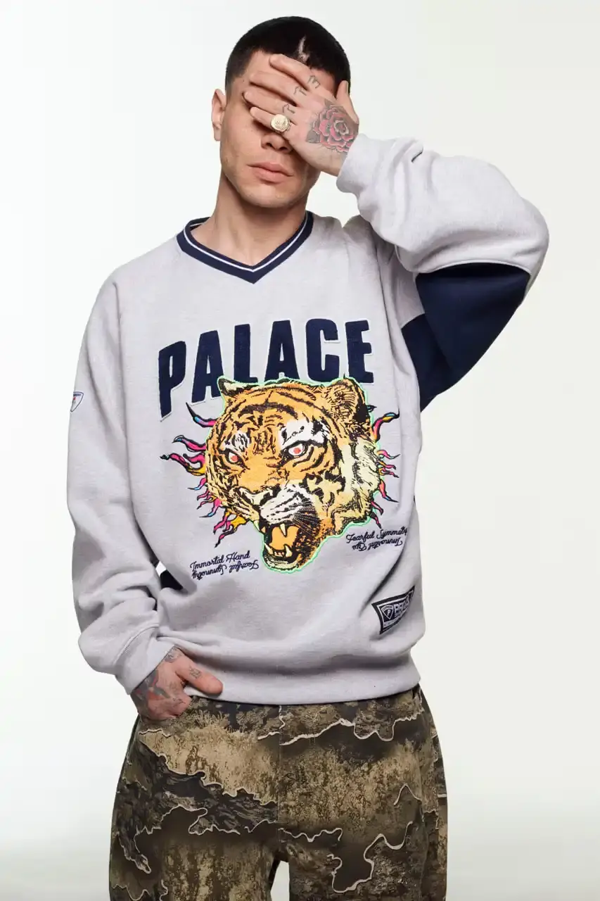 Palace Skateboards/Theo Sion Palace Spring 2025 lookbook showcasing a diverse collection of streetwear. Various models wear pieces including a tiger-embroidered varsity jacket, GORE-TEX outerwear, camouflage patterns, and racing-inspired jerseys. The collection features a mix of athletic and casual styles in multiple colorways, with detailed shots of snake graphics and workwear pieces (image 17 of 20)