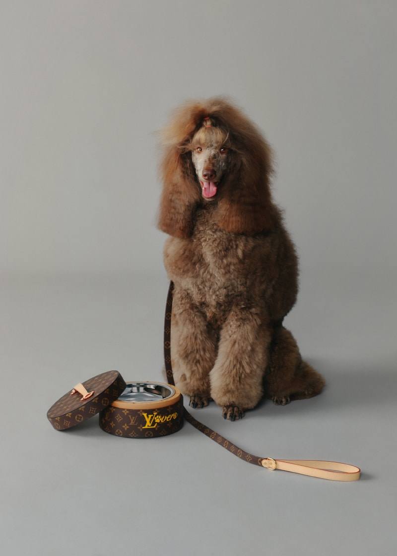 Louis Vuitton (image 7 of 11)