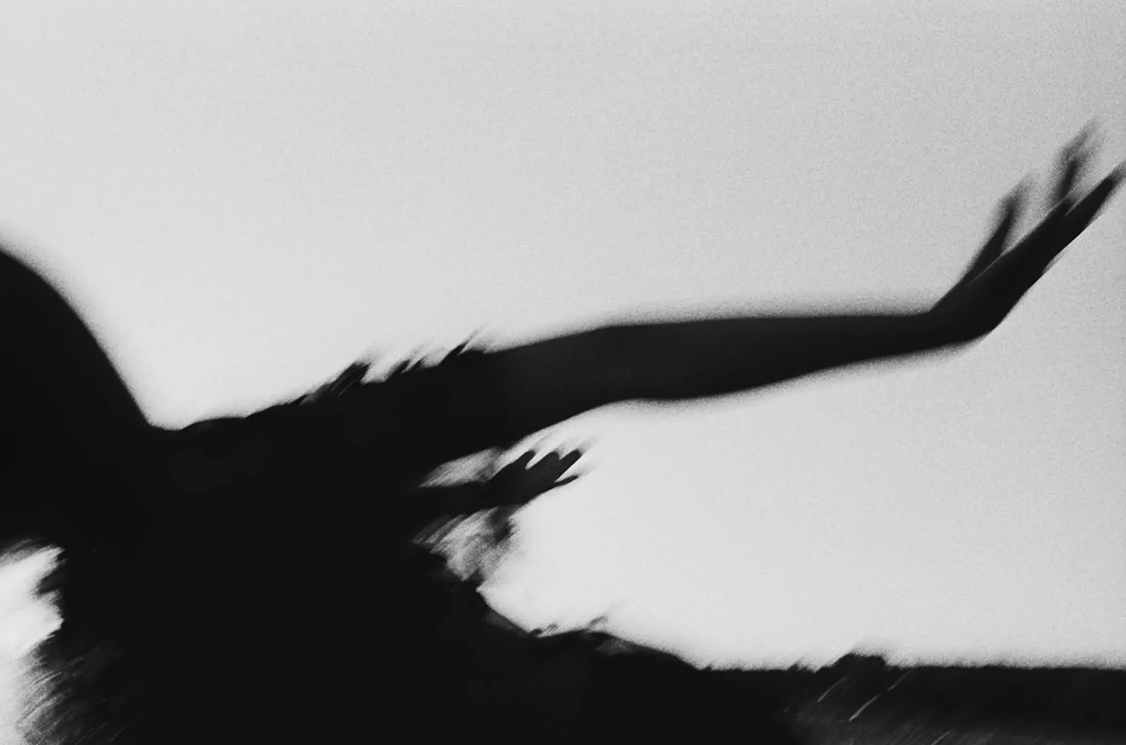 ANATOMY OF THE REVERSE MIGRANT The team includes photographer Francesco Corti and stylist Alessia Bolton.