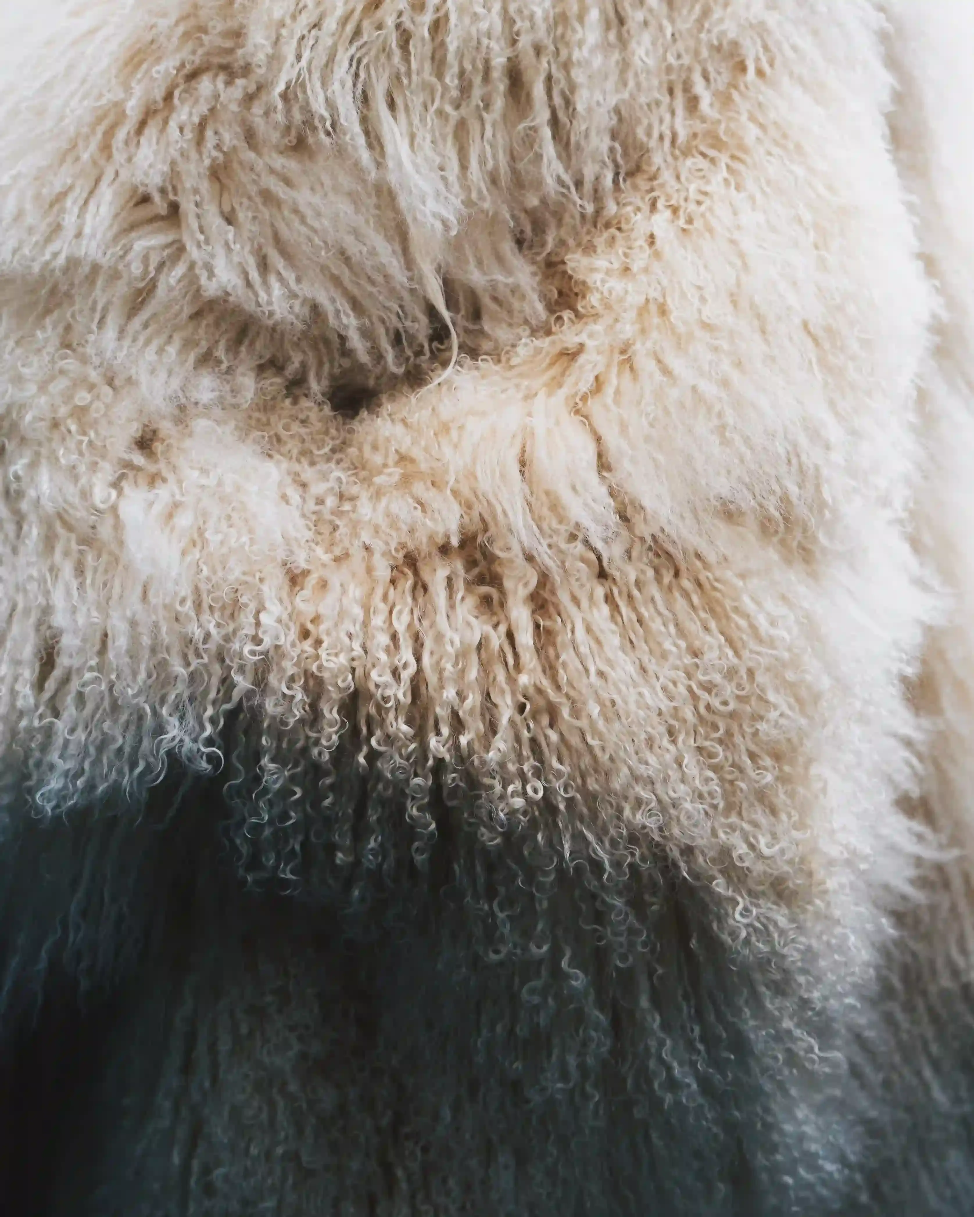 © CASAWI / Matteo Vetrano (image 13 of 22)