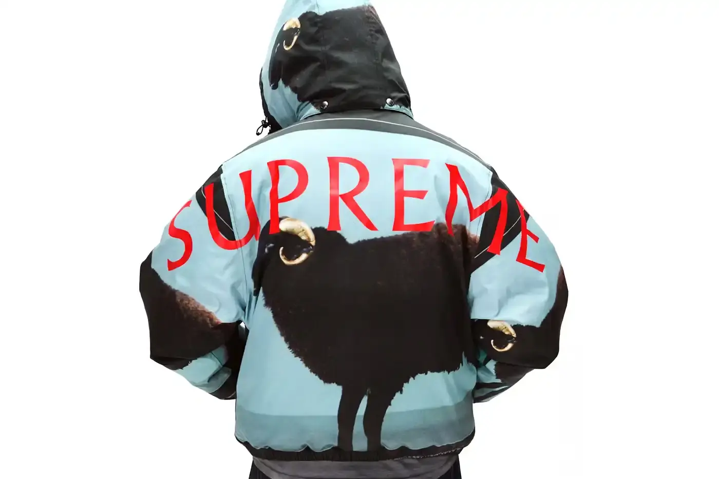 Back view of a Supreme puffer jacket showing Damien Hirst's 'Black Sheep with Golden Horns' artwork printed in full color against a dark background. The image shows a taxidermied sheep with golden horns floating in what appears to be a clear tank.